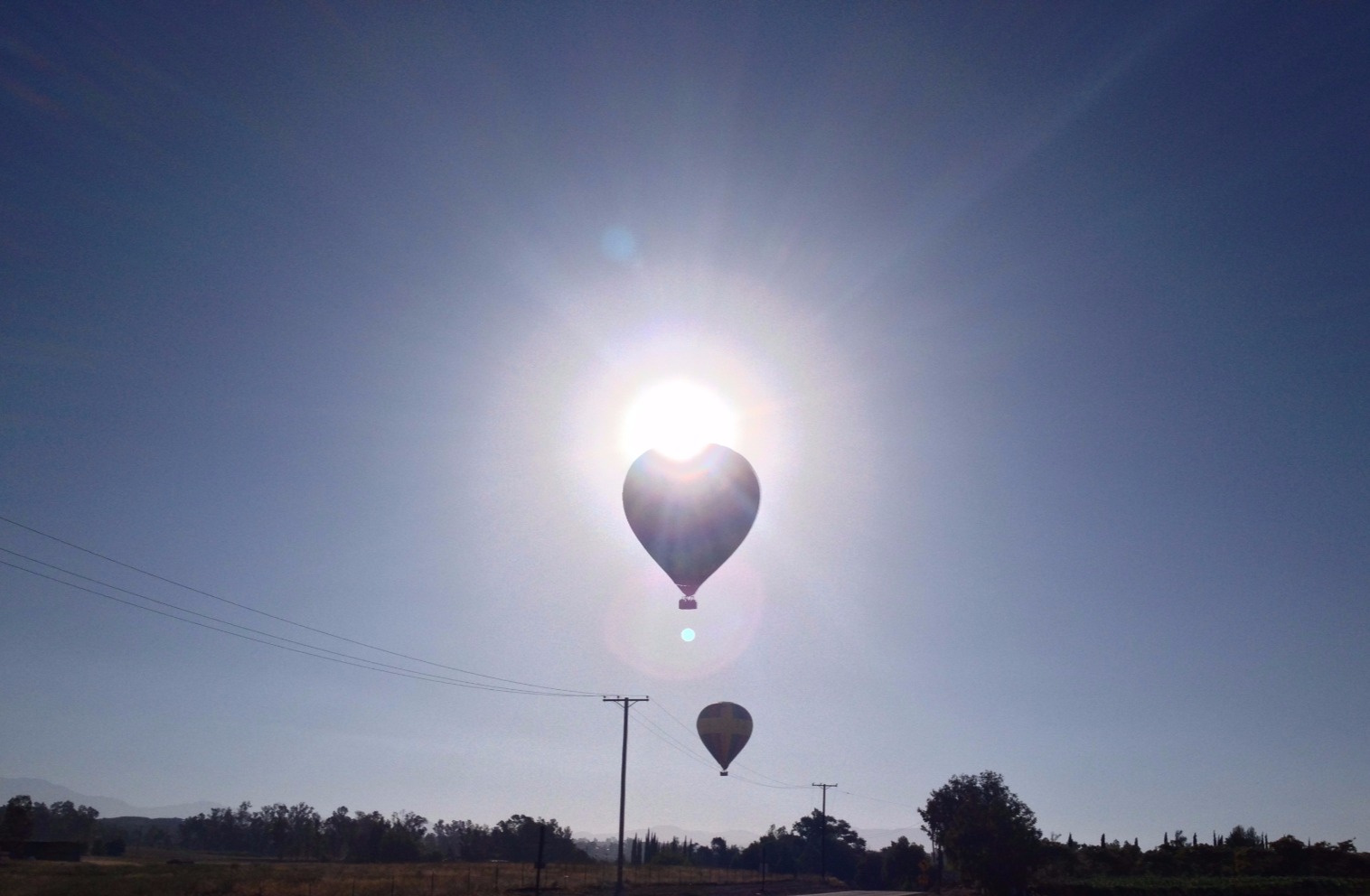 Hot air balloons rising into a bright sky